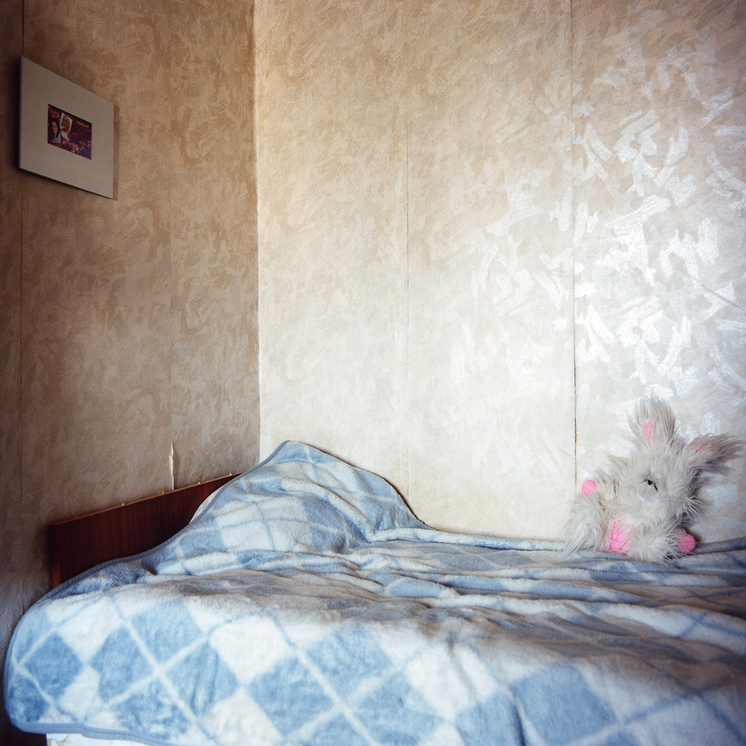 www_64_Lena's Pushistik : moscow inside 64: 70